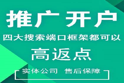 谷歌竞价案例：快速提升品牌影响力的广告策略